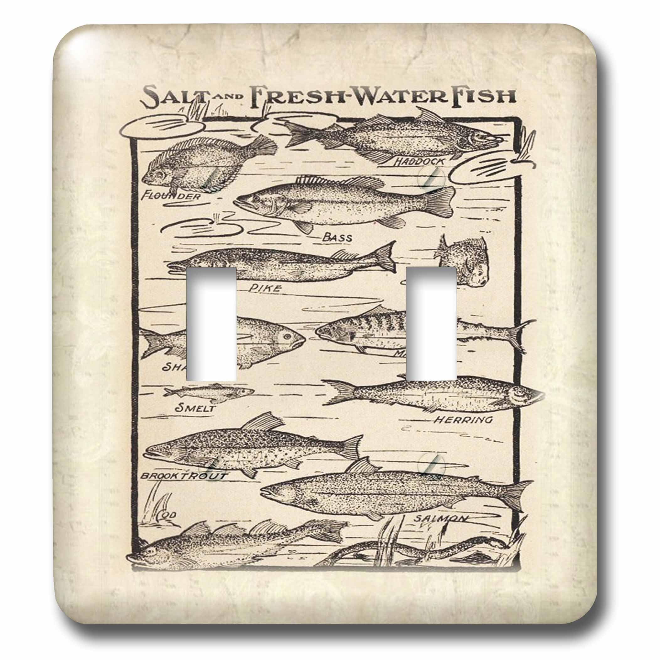 Interrupteur double bascule multicolore 3dRose lsp_58490_2 carte poisson mer