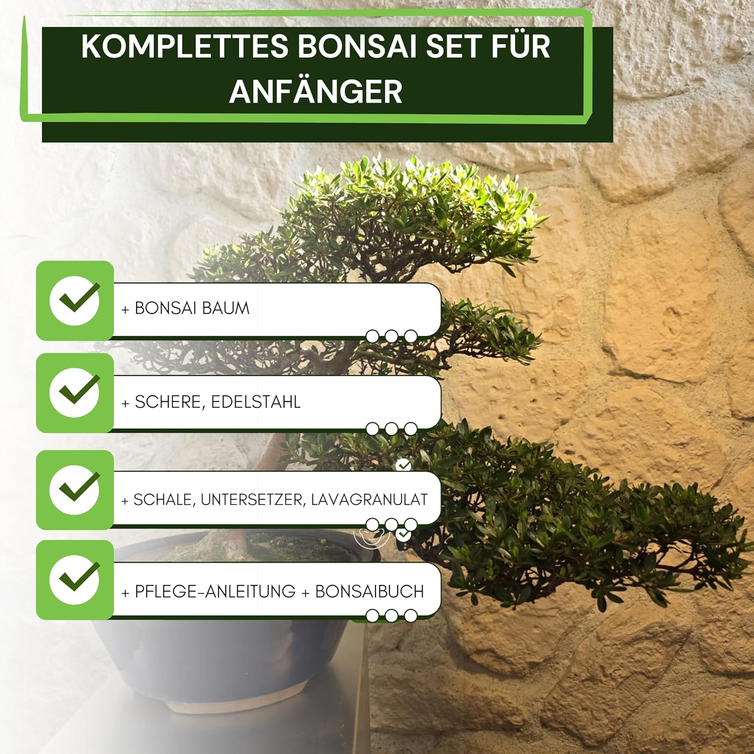 bonsai starter pack Beginner Friendly Bonsai Starter Kit With Seeds And Tools All In One Indoor  Tree Growing Set For Living Plants Great Gift For Women Men Mom Dad Plant main image 1