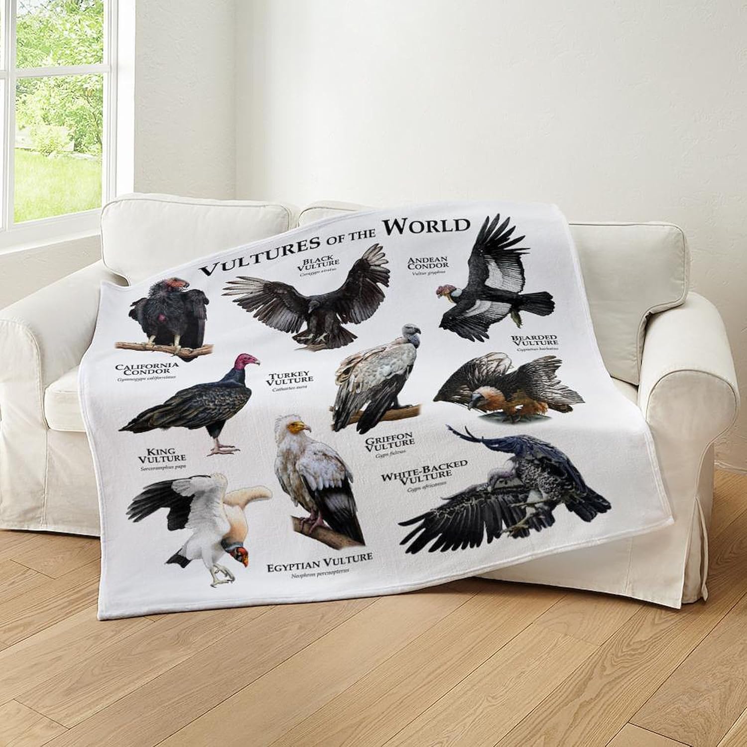 CafePress Vultures of The World Throw Blanket Super Soft Fleece Plush Throw Blanket, 60"x50"