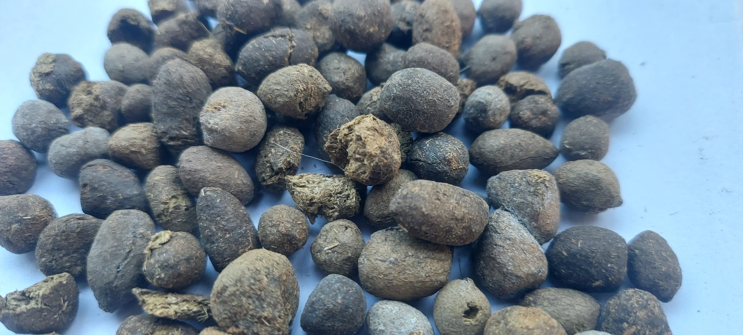 SAI Organics Natural Goat Dung Manure 100% Pure (5 kg) (B085VYB6TM) Amazon Price History, Amazon Price Tracker