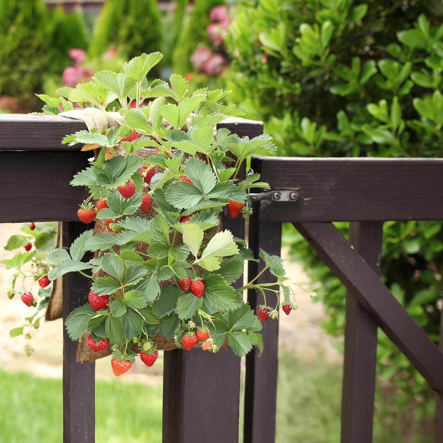 HANG & GROW Burlap Saddle Bag Planter for Outdoor Plants Vertical Flower Bag for Easy Outside Garden Decoration Reusable Saddle Hanging for, Strawberry, Vegetables and Herbs, 2 Bags with 6 Holes