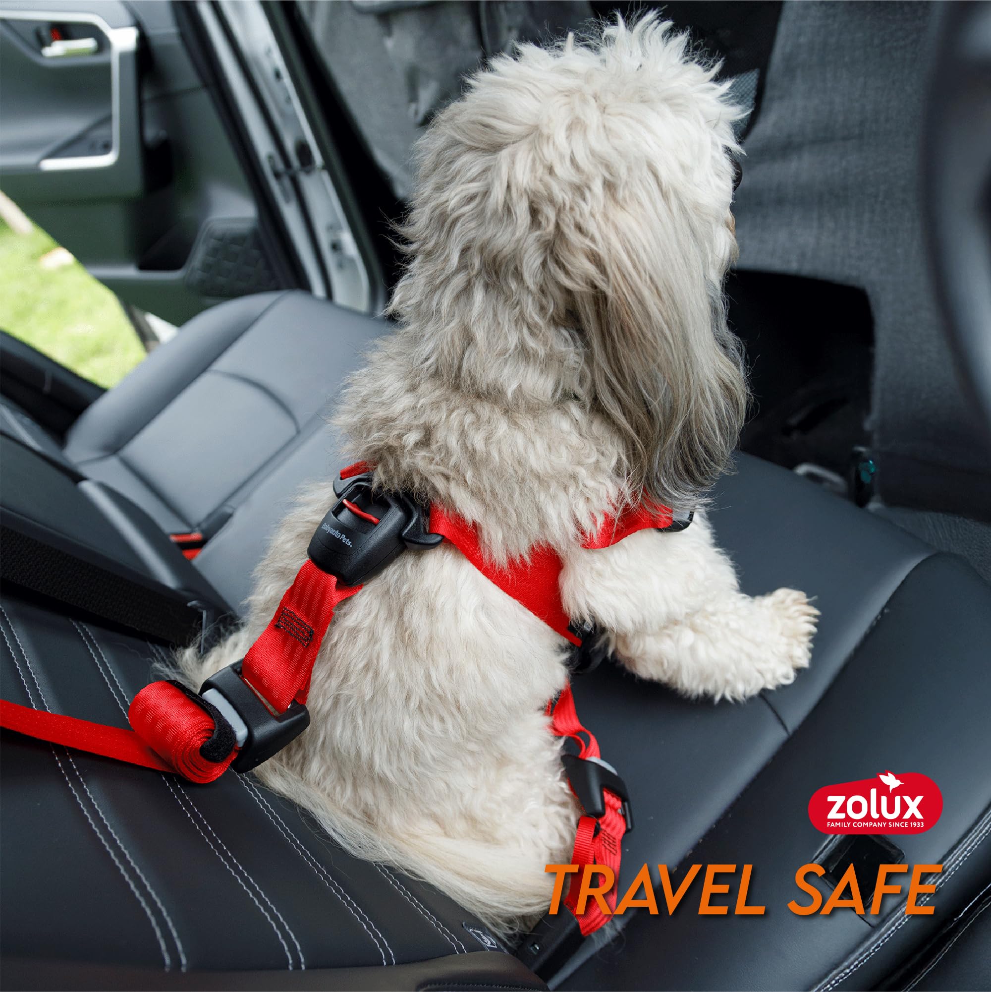 Zolux Travel Safe Harnais de Sécurité Auto pour Chien S - Noir - Chiens 7-15kg - Fixation ISOFIX + Top Tether - Système Antidesserrage MASA - Crash-Testé - Ajustable - Confortable - Marque Française