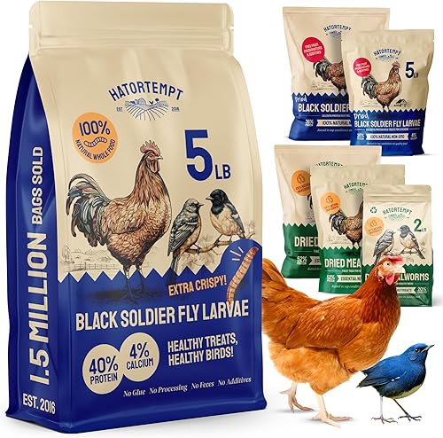 Hatortempt 5 lb Black Soldier Fly Larvae for Chickens - 4% Calcium for Stronger Shells and Better Egg Production - Organic Dried Treats for Laying Hens, Wild Birds, Ducks and Reptiles