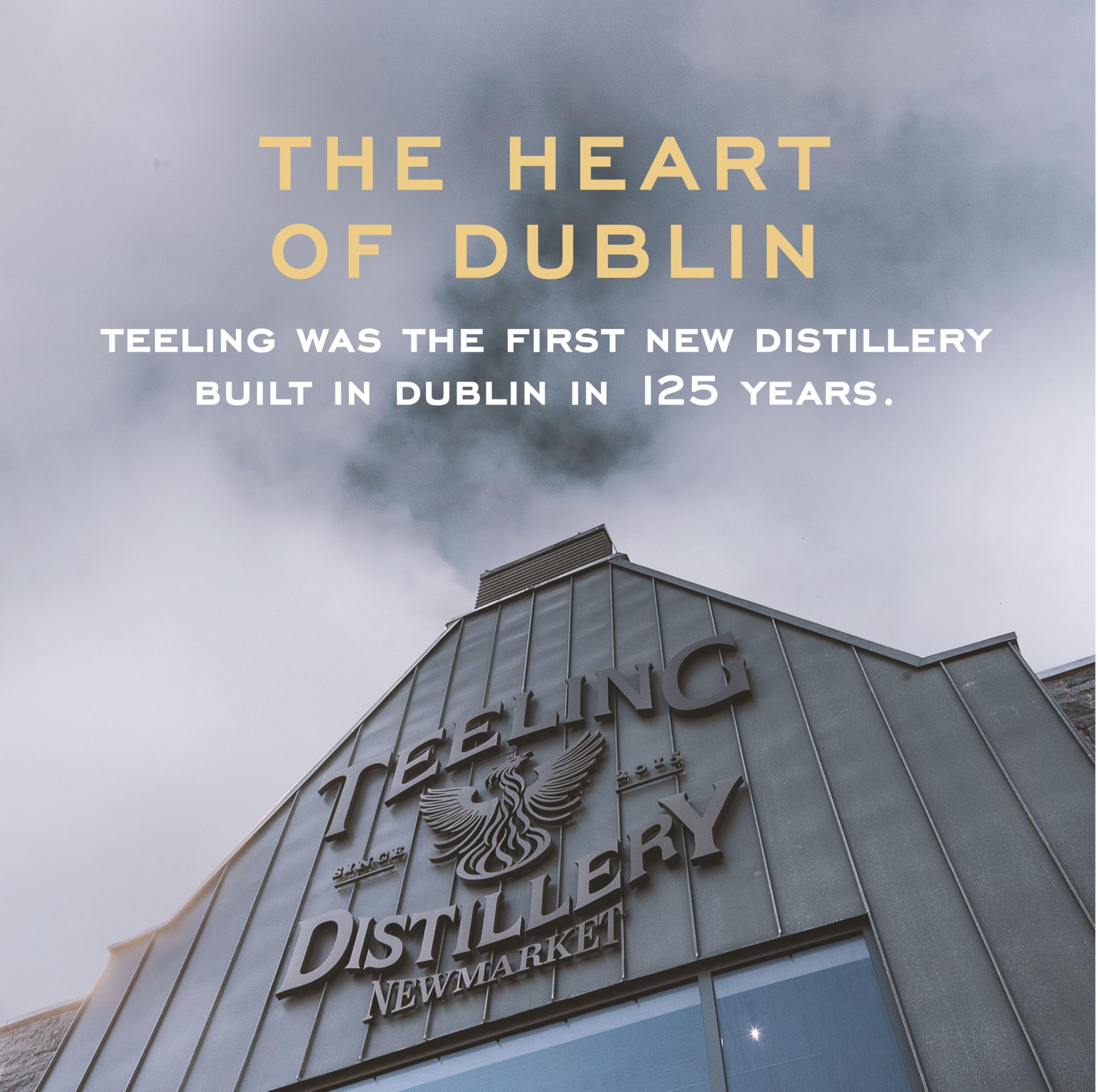 Teeling Whiskey Single Pot Still Irish Whiskey 46% Vol. 0,7l in Giftbox
