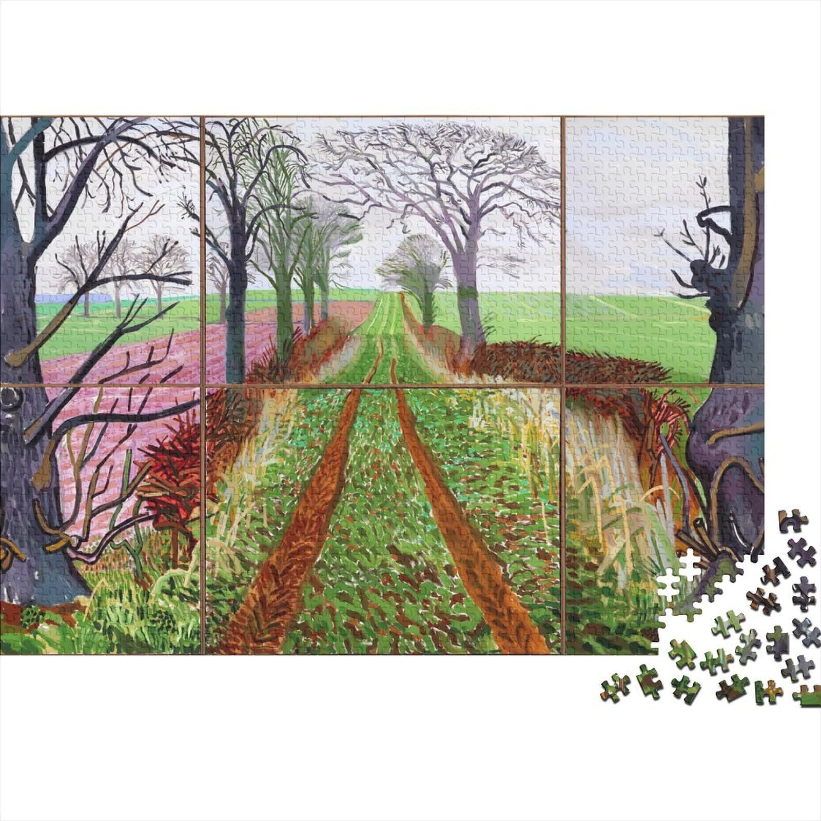David Hockney Puzzles Wooden 1000 Pieces World Famous Paintings Jigsaws Impossible Museum Jigsaws Fine Art Puzzles Challenge Toy Educational Games