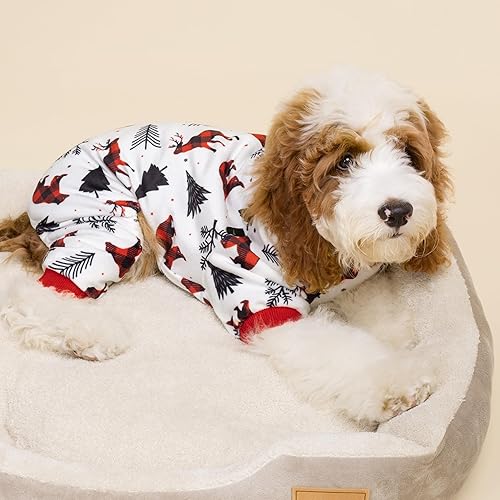 Miniatura 75 de Fitwarm Pijama de Halloween con diseño de murciélago y perro, disfraces divertidos para perros pequeños, niños y niñas, traje para mascotas, verde