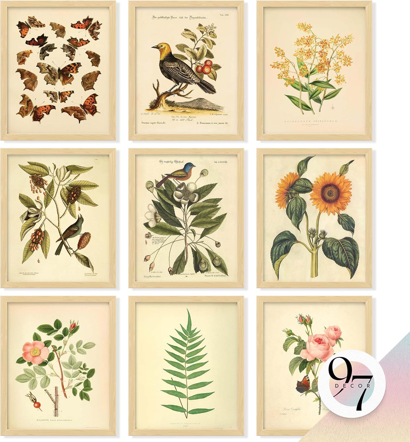 97Decor Vintage Botanical Wall Art - 9 Unframed 8x10 Prints: Floral Butterfly Bird Posters for Bedroom Home Cottagecore Decor