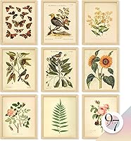 97Decor Vintage Botanical Wall Art - 9 Unframed 8x10 Prints: Floral Butterfly Bird Posters for Bedroom Home Cottagecore Decor