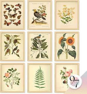 97Decor Vintage Botanical Wall Art - 9 Unframed 8x10 Prints: Floral Butterfly Bird Posters for Bedroom Home Cottagecore Decor