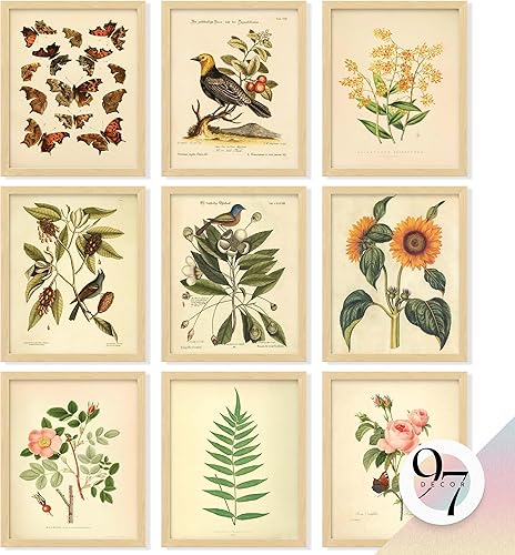 97 Decor Decoración de pared botánica vintage, pósteres de plantas para estética de habitación, impresiones botánicas vintage, decoración de pared