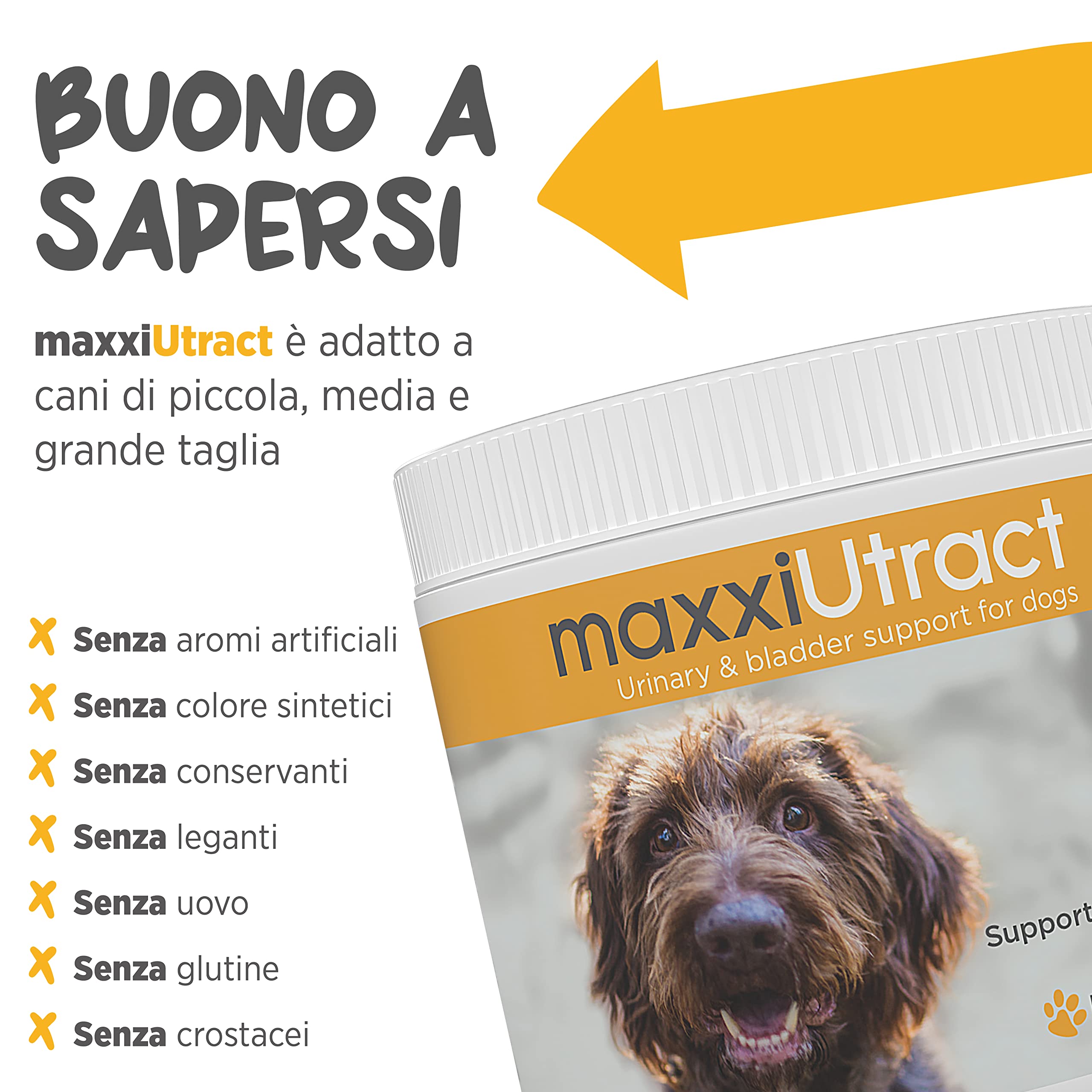 maxxipaws maxxiUtract Benessere Urinario e della Vescica - Integratore in Polvere per Cani, 150g
