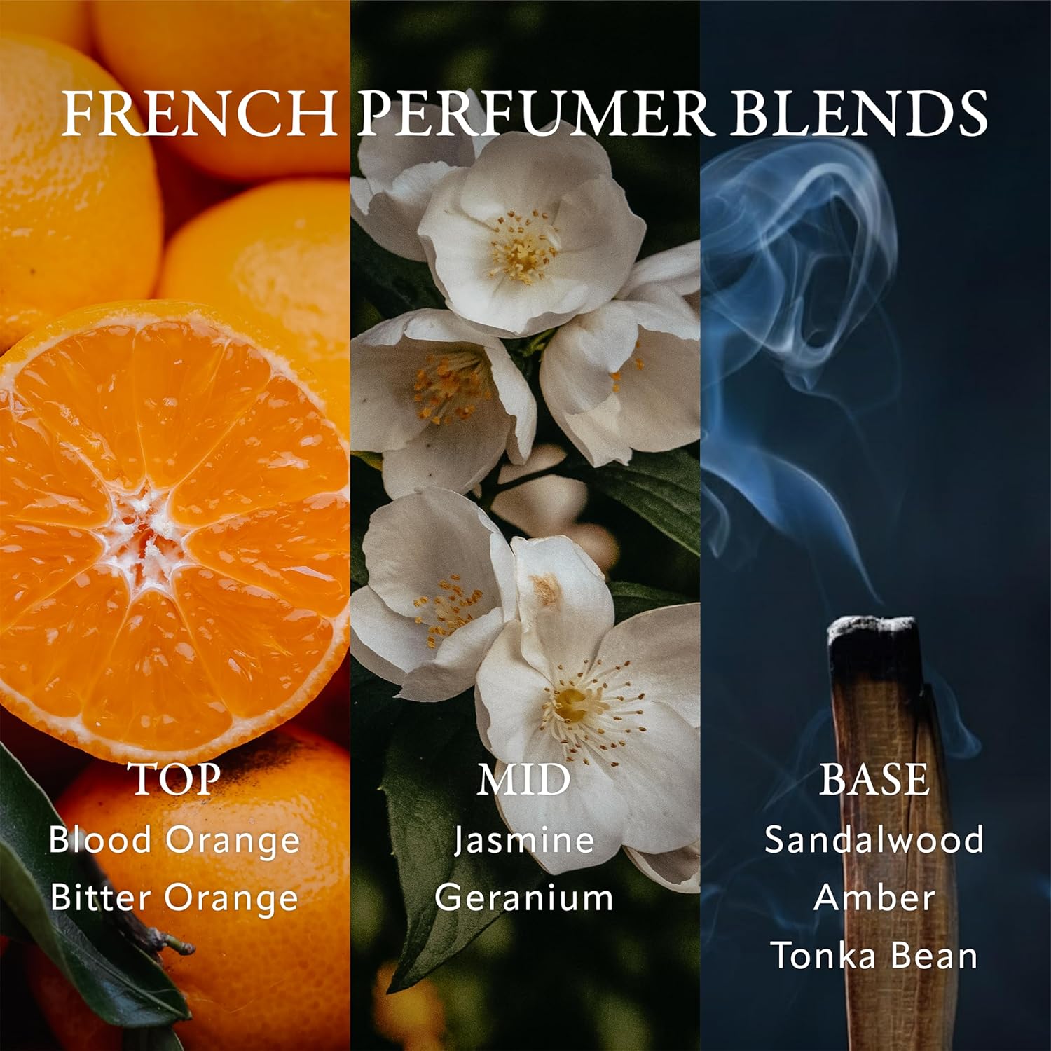 Soréva Luxury Reed Diffuser Set, Uplifting Citrus, Jasmine & Sandalwood, Alcohol-Free Essential Oils, Long Lasting Aromatherapy Home Fragrance for Bedroom & Office, Gift Set, 7 Sticks, 4.39 fl oz