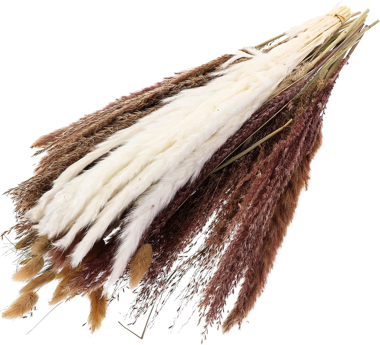 ORFOFE Dried Pampas Grass Bouquet 50 Stems with Reed Layout Props Natural Decorative Reed for Vase Home Dining Table Decor Spring Floral Arrangement