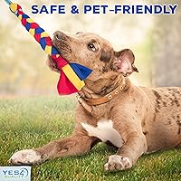 Vista 4 de YES4QUALITY Poste de coqueteo para perros, seguro y fuerte para razas grandes con cordón de nailon, poste de resorte para tira y afloja, juego