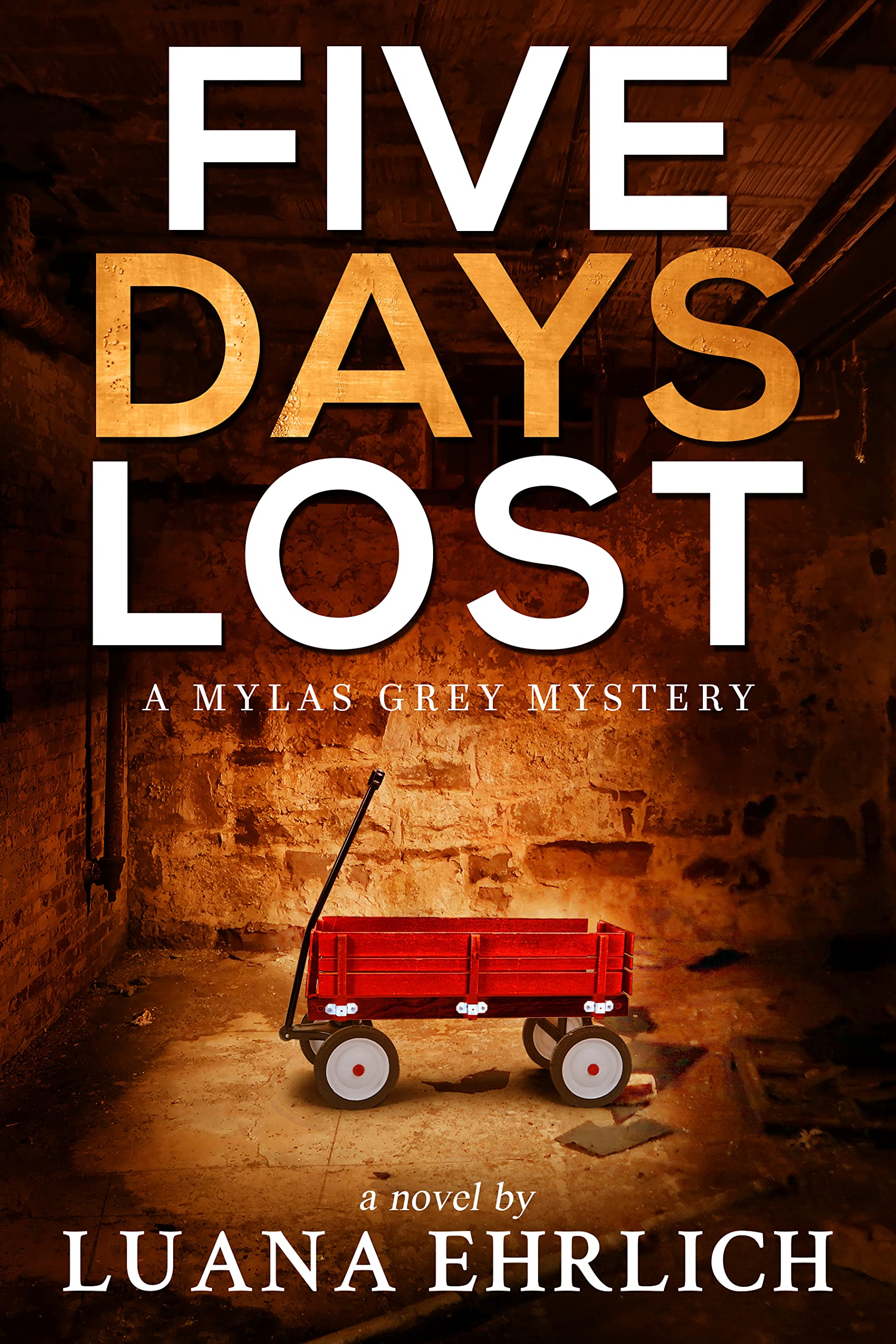 Five Days Lost: A Mylas Grey Mystery (Mylas Grey Mysteries Book 5)