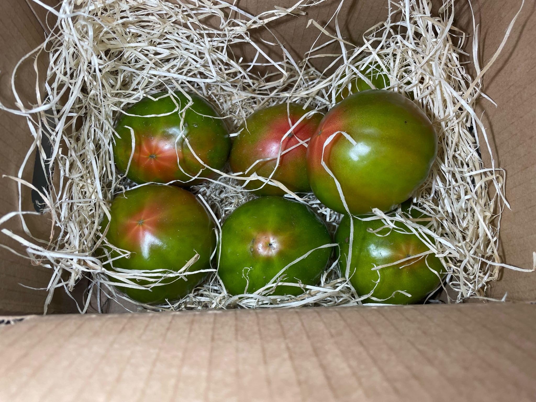 Optima Tomate Ecologico Valenciano