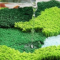 Vista 5 de LEVINIS Tapetes de baño con diseño de musgo, suaves y divertidos, antideslizantes, lavables, para ducha, bañera, dormitorio, 31 x 20 pulgadas