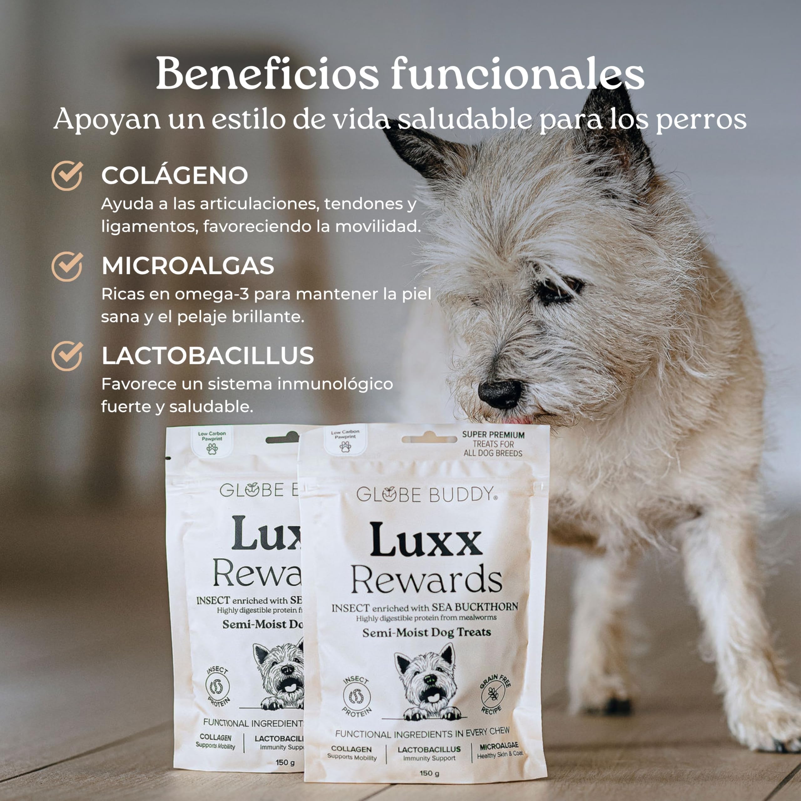 Luxx Rewards – Pack 10×150 g – Snacks Hipoalergénicos sin Cereales con Proteína de Insectos para Perros – Apoyo a Movilidad e Inmunidad – Premios Super Premium