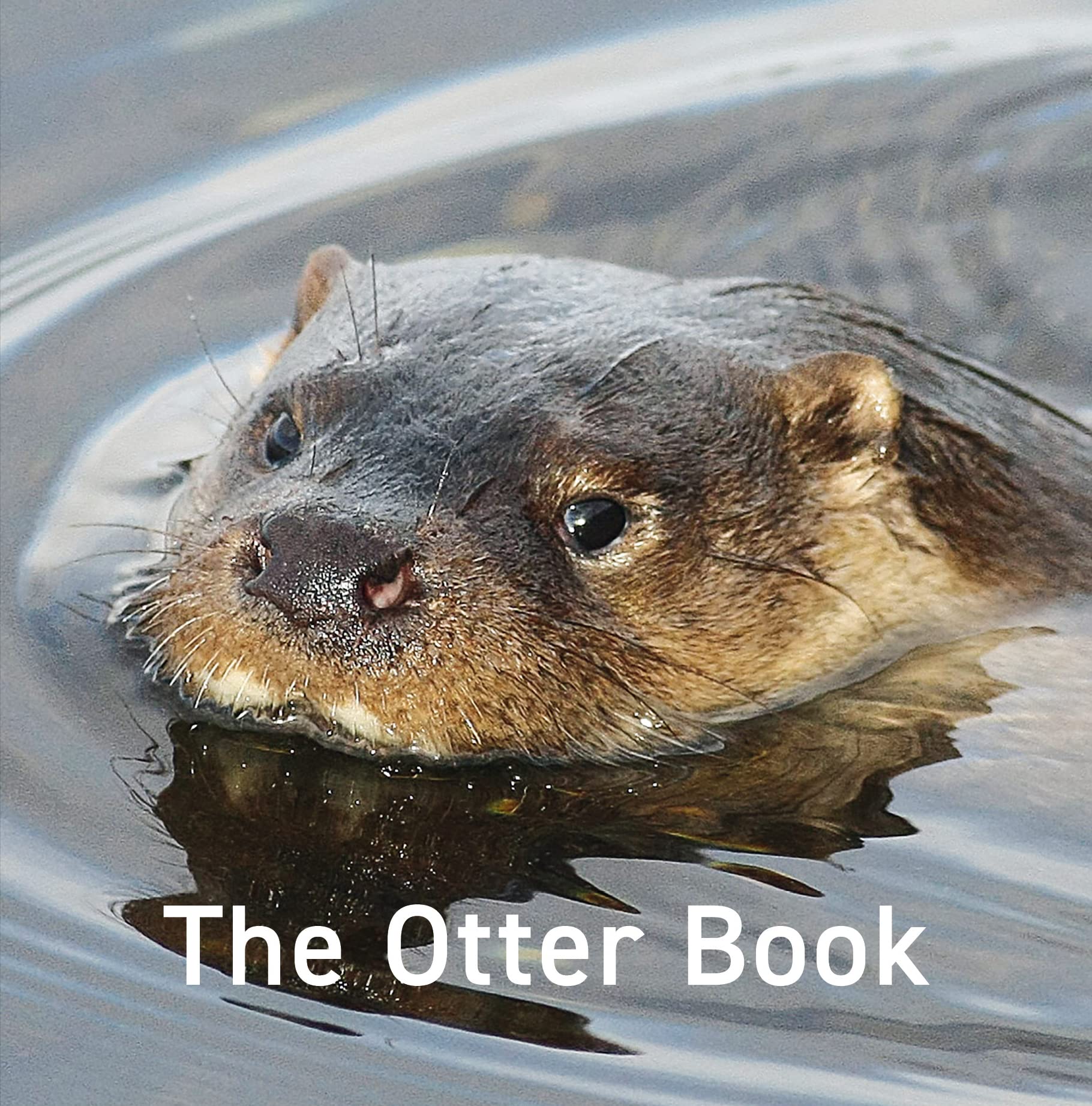 Nature Book Series: The Otter Book by Jo Byrne - 9781802580822