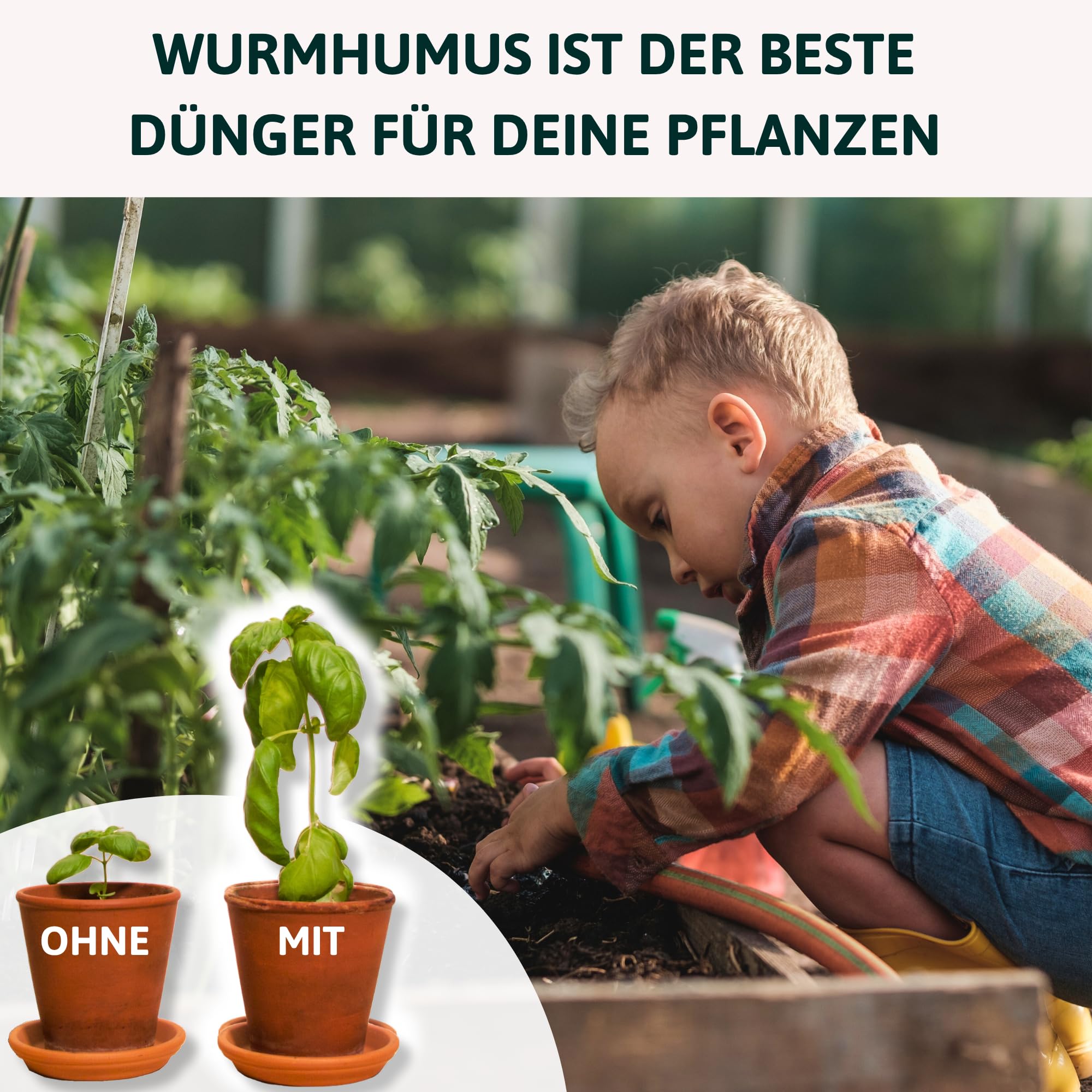 Beetkomposter Wurmvase XL - Wurm Komposter Garten zum Eingraben inkl. Wurmkiste Anleitung