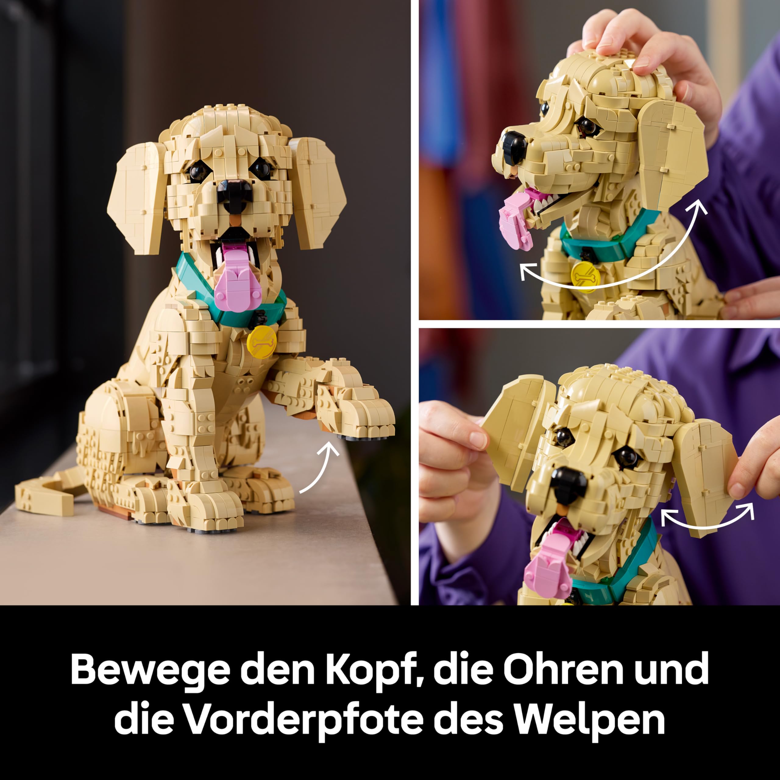 LEGO Icons Golden Retriever Welpe - Modellbau für Erwachsene - 3D Tierfigur zum Ausstellen mit Halsband & Medaille - DIY Deko für Regal oder Schreibtisch - Geschenkidee für Kunst- & Bastelfans - 11384