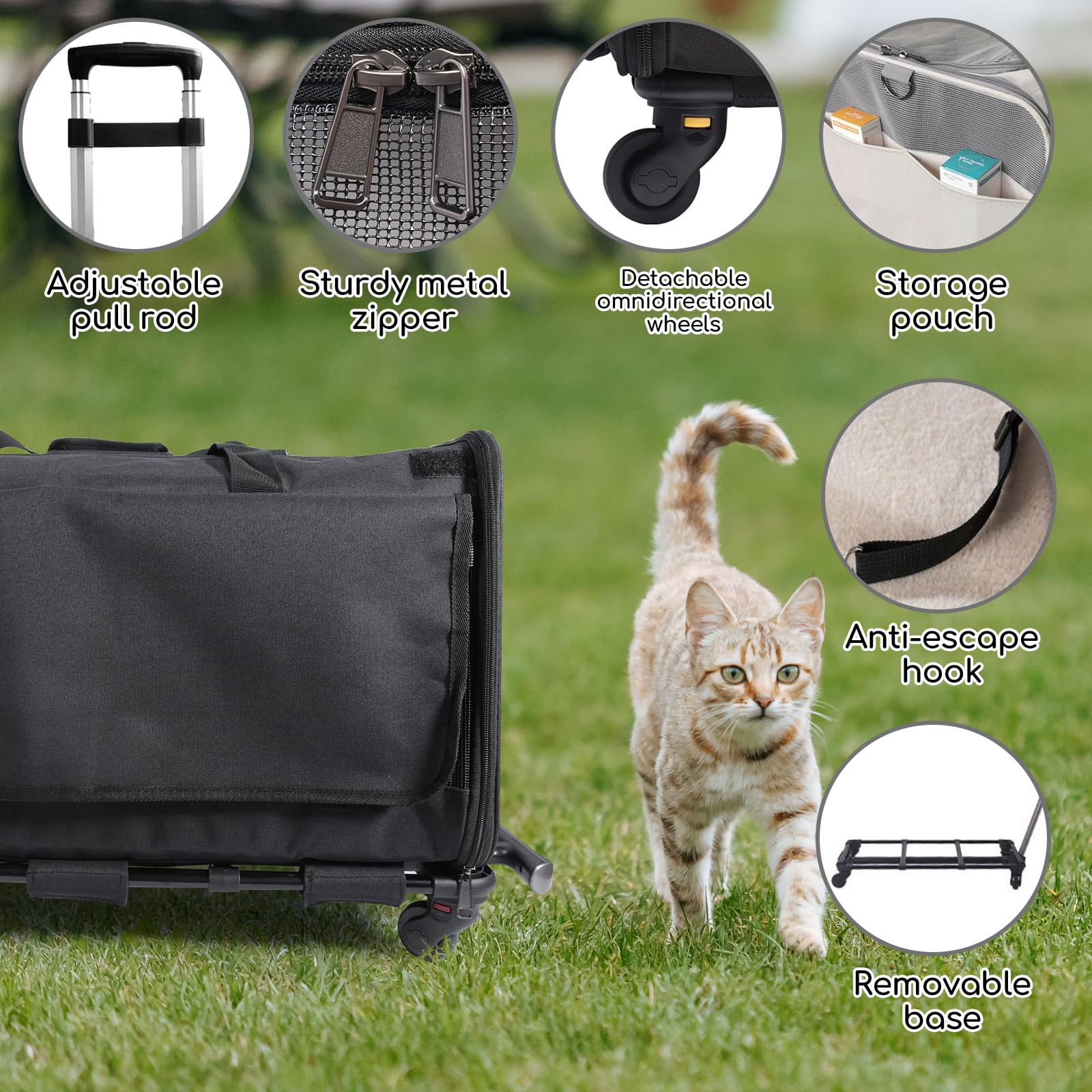 Transportbox & -tasche Für Katzen Online Bei Bestellen