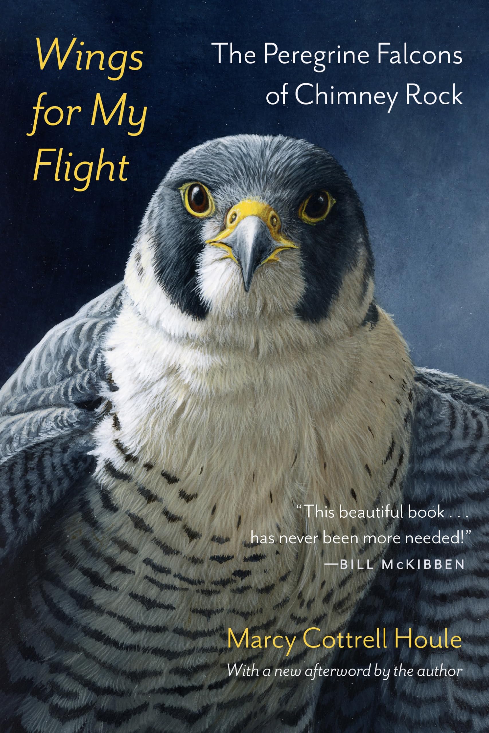 Wings for My Flight: The Peregrine Falcons of Chimney Rock