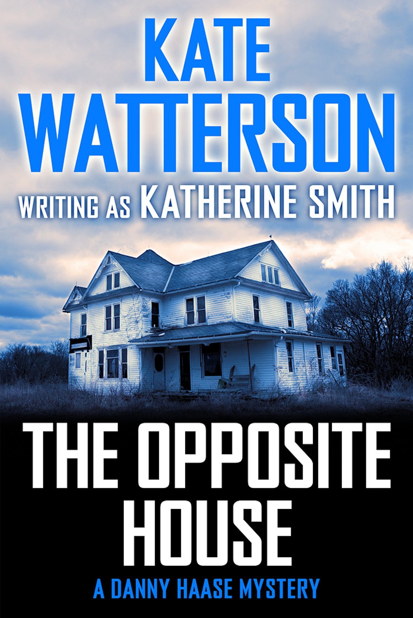 The Opposite House: A Danny Haase Mystery (Detective Danny Haase Series)