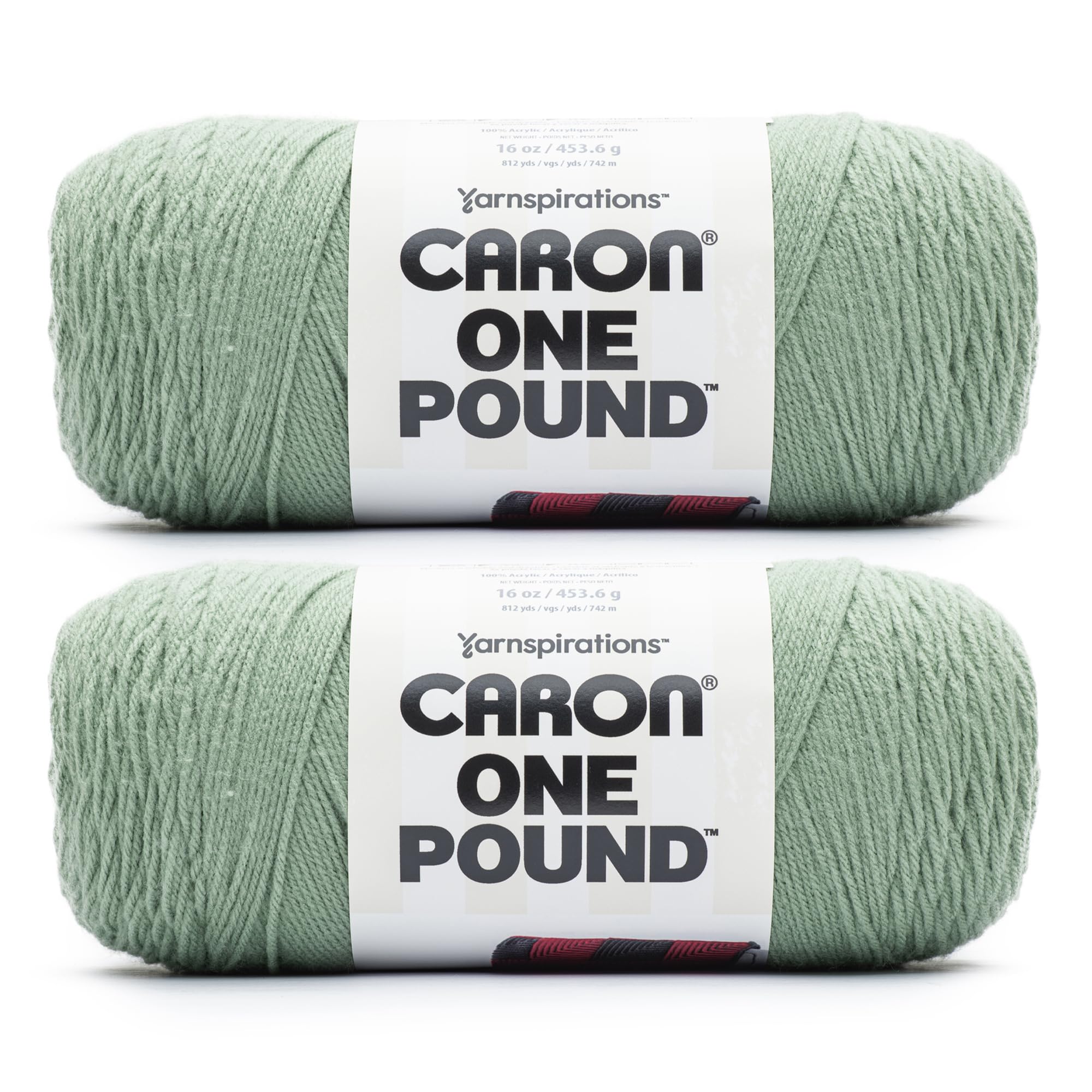 Caron One Pound Yarn, 2 Pack, Succulent