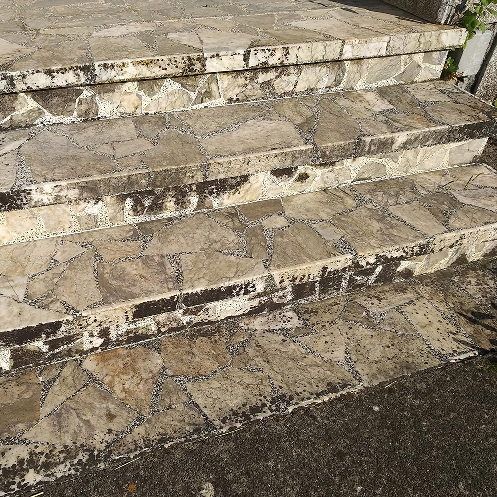 Sopgal Limpiador de Humedades para Tejados, Fachadas y Suelos 25L | Elimina manchas de humedad de tejados, fachadas y suelos. Acaba con la suciedad incrustada por el paso del tiempo.