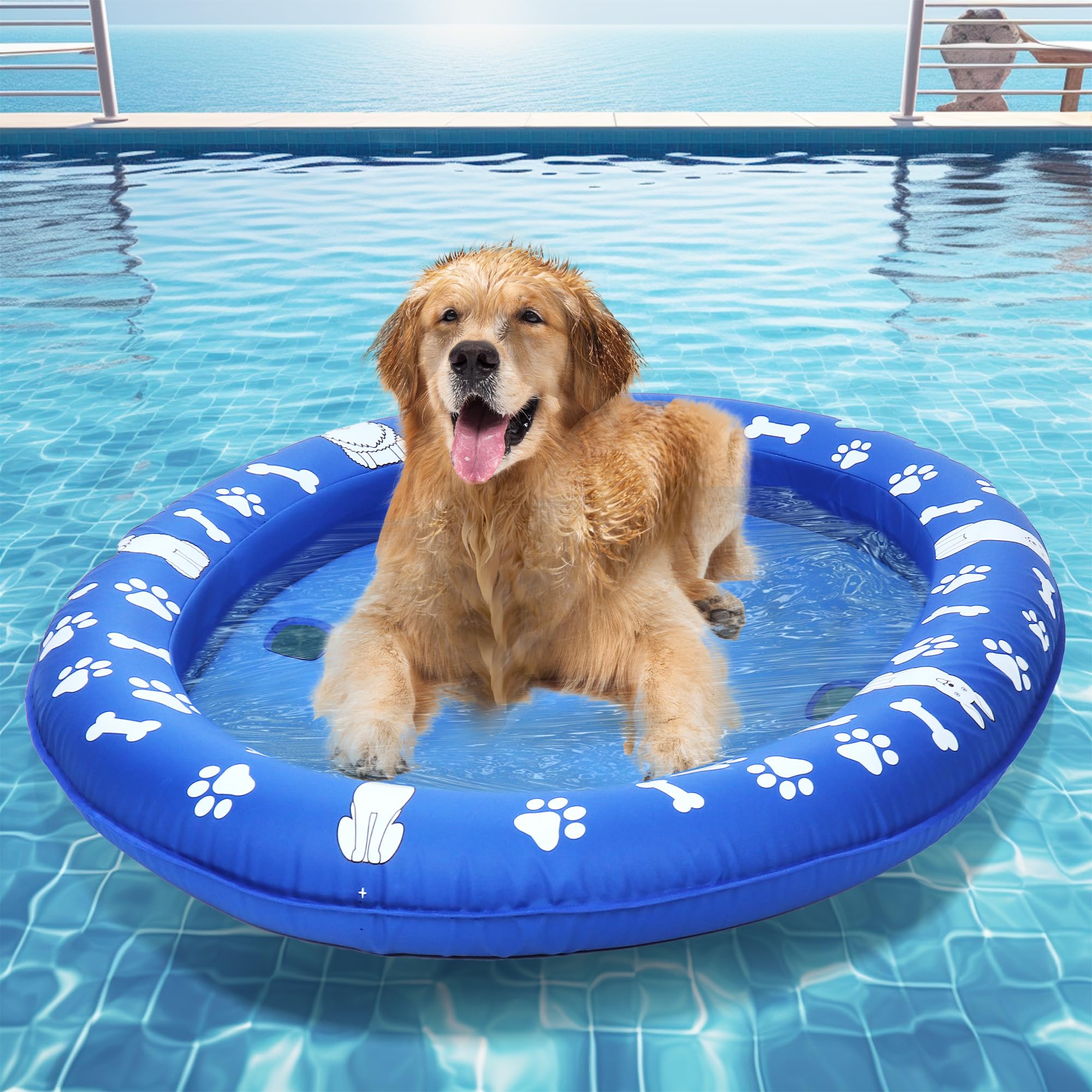 large dog float