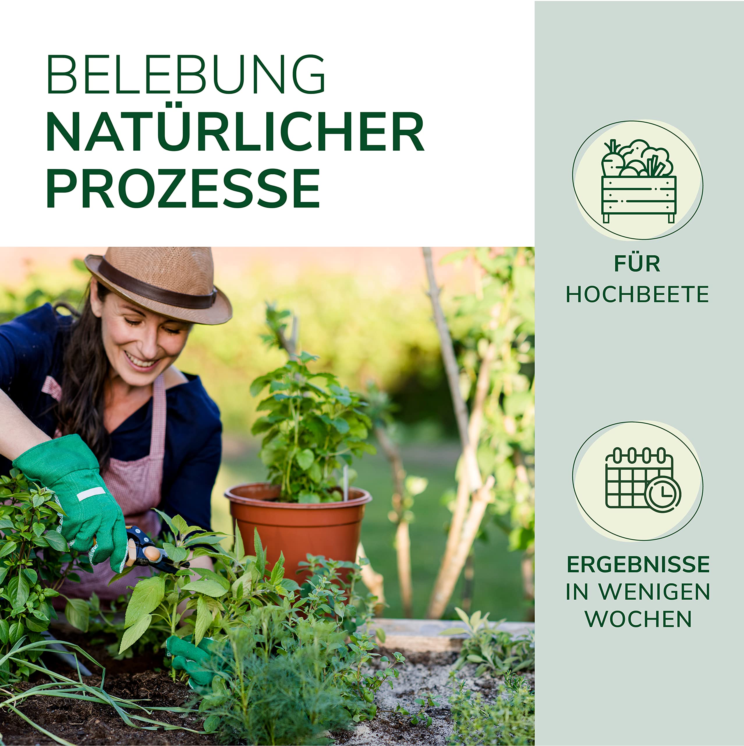 Natursache Terra Forming Paket „Jack“ I Natürlicher Bodenaktivator für Hochbeete und Pflanzkübel für 1-3 m² I Bodenverbesserer-Set mit Styroporbox, 150 STK. Regenwürmer & Einer Anleitung