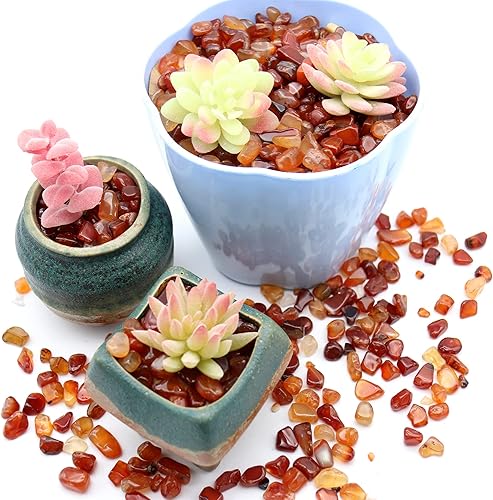 Miniatura 8 de Piedra de ágata. Guijarros de ágata roja natural pulida. 38 pulgadas - 2 libras. Color rojo. para suculentas, macetas, plantas, manualidades,