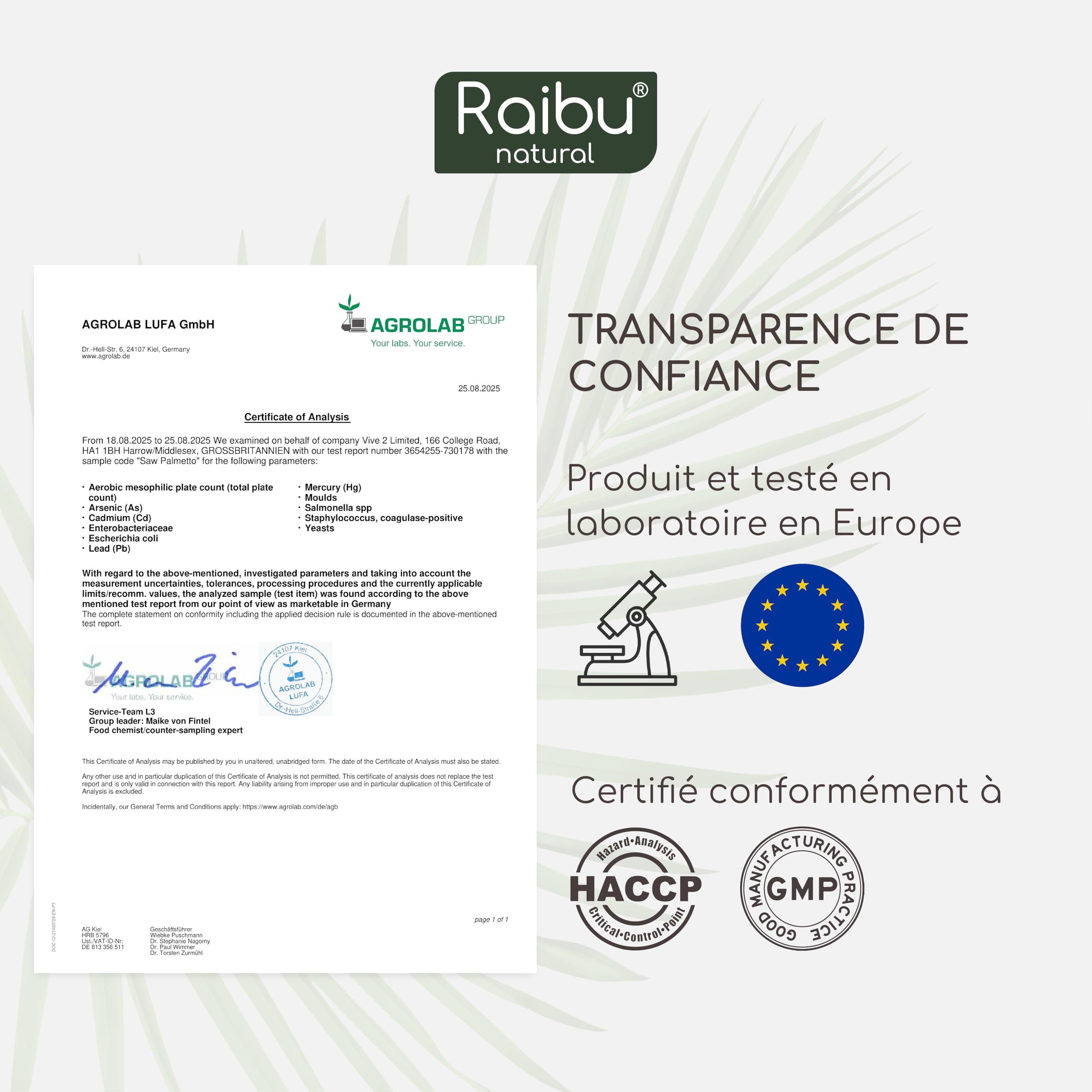 Saw Palmetto - Haute Teneur: 11000 mg de Palmier Nain par Gélule (20:1), avec Graines de Courge - 120 Gélules de Palmier Nain pour 4 Mois d’Utilisation - Végan & Sans Additifs - Raibu