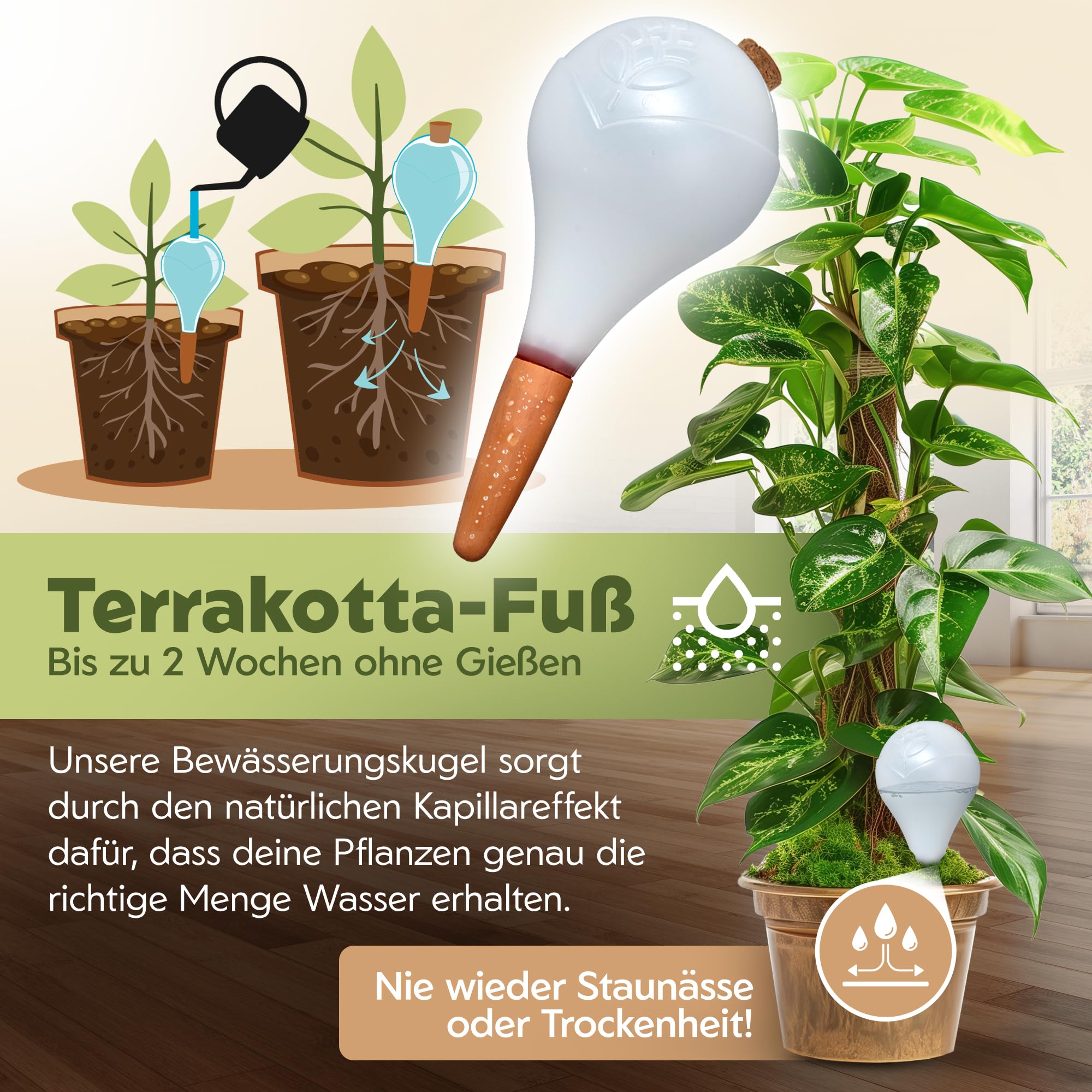 Lot de 6 boules d'irrigation - XL (400 ml) - Arrosage automatique des plantes - Distributeur d'eau pour plantes - Cône d'argile pour chambre et balcon - Blanc