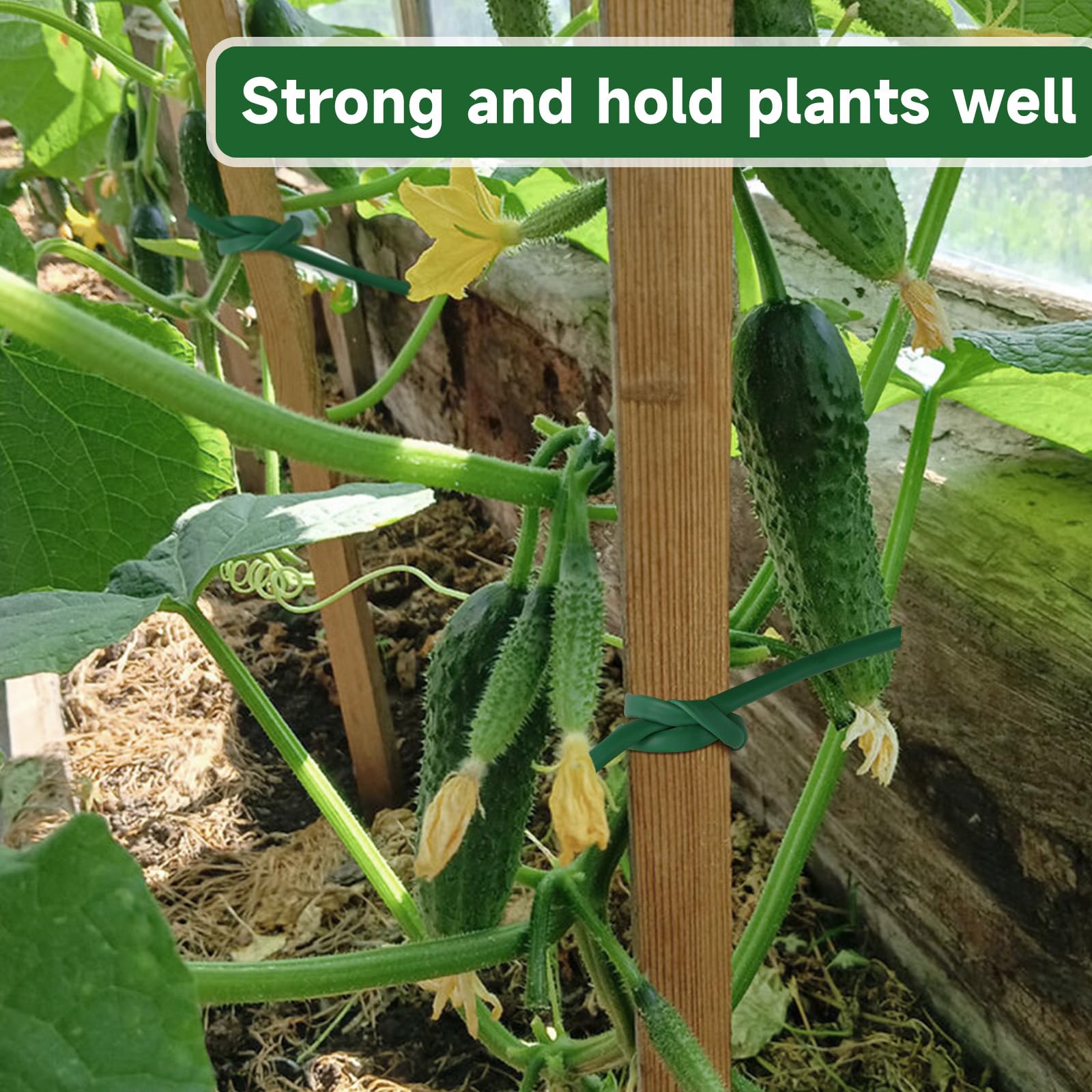 KINGLAKE Tubo de Atado Flexible, Cinta de Jardín Verde de 3mm x 50m para Plantas Trepadoras, Cuerda de Jardín de Plástico para Tomates, Rosas, Soporte para Vegetales