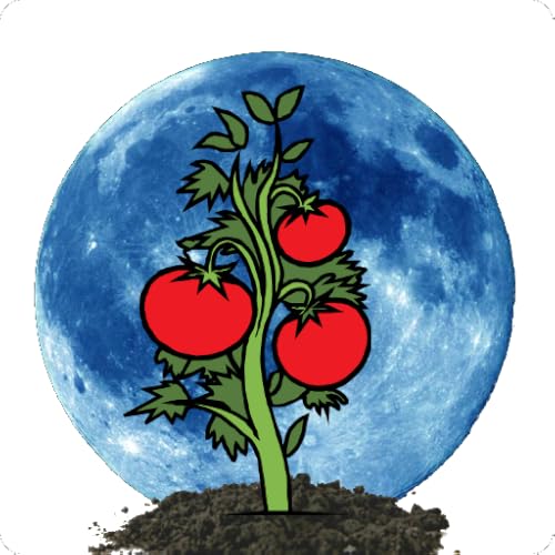 Moon Calendar