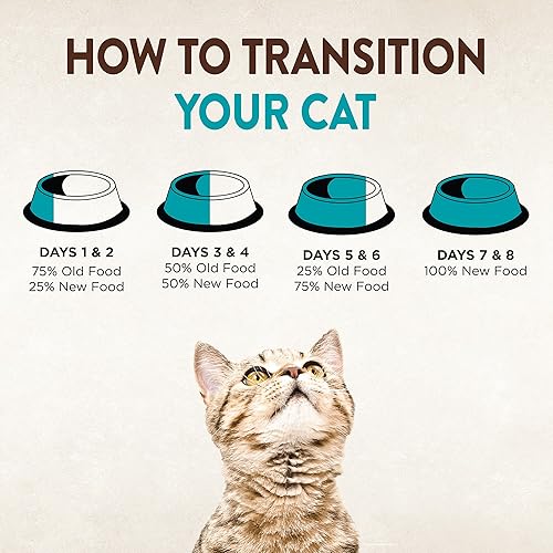 Miniatura 65 de Wellness CORE Signature Selects - Alimento húmedo sin granos para gatos, alimento natural para mascotas hecho con carne real