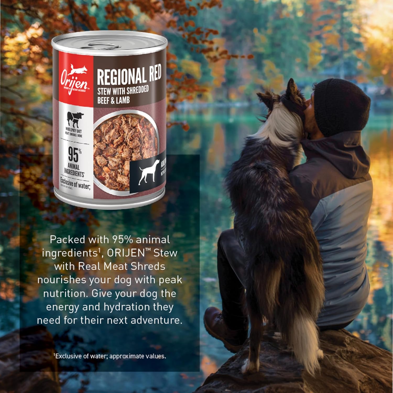 ORIJEN Real Meat Shreds, Grain-Free, Regional Stew, Premium Wet Dog Food