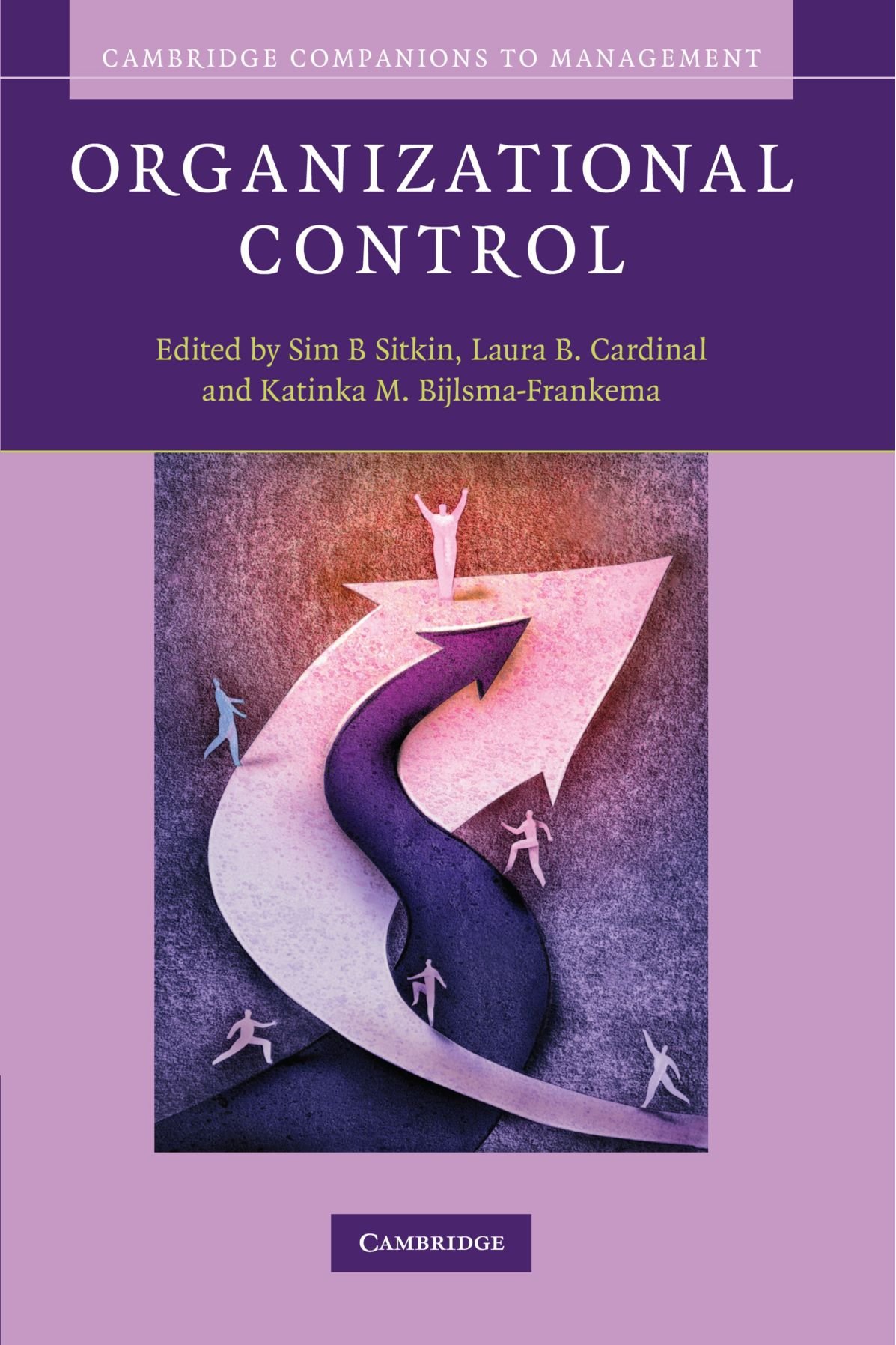 Organizational Control (Cambridge Companions to Management)