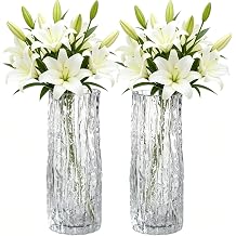 2 Pcs Glass Flower Arrangement Vase, 24x8cm Tall Modern Centerpiece