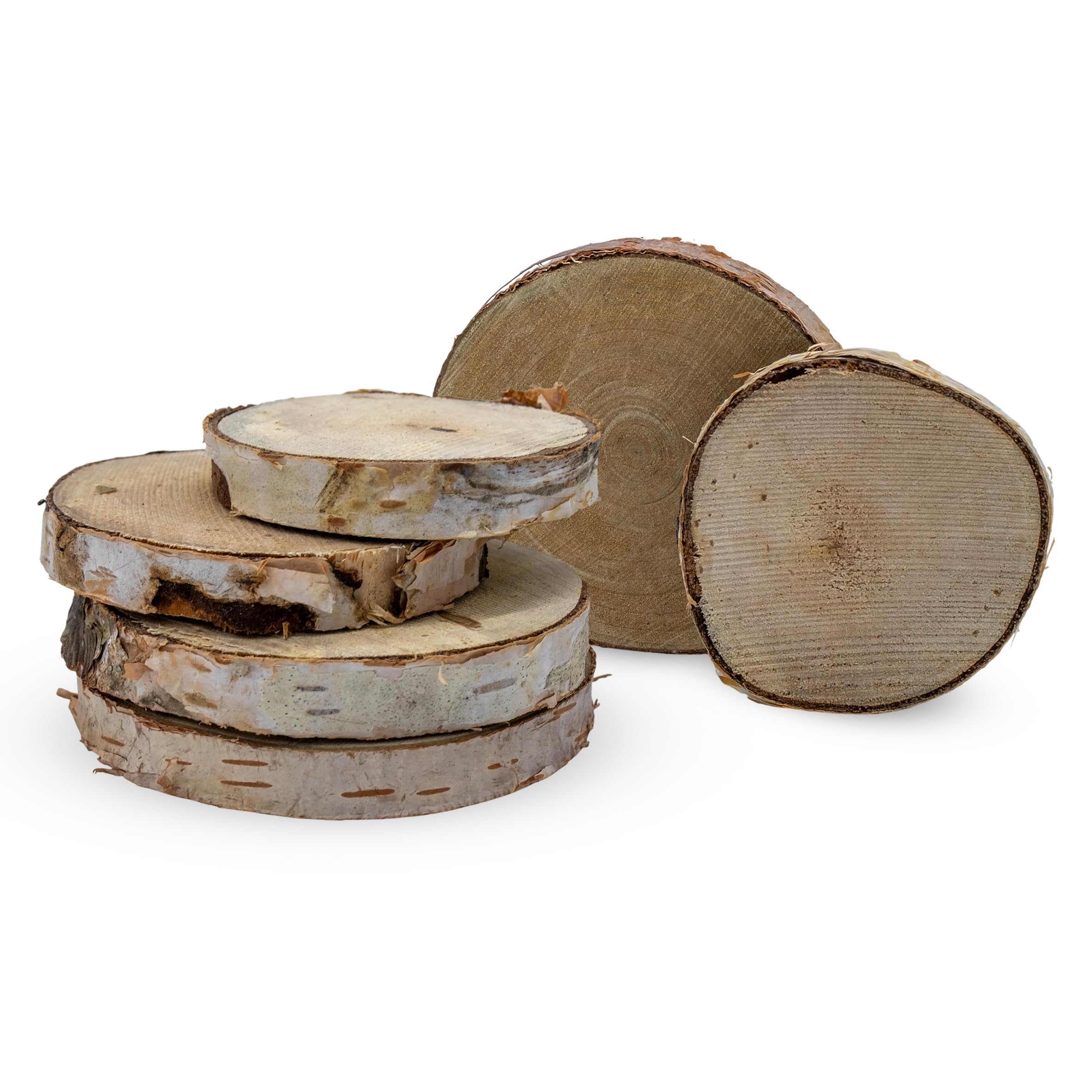 Birkenholzscheibe mit Rinde klein Echtholz 7 cm - 15-17 Stück - Birken Baumscheibe zum Basteln und Dekorieren - DIY Holzscheibe Birkenscheibe Naturholz Scheibe Hölzerne Hochzeit Tischschilder