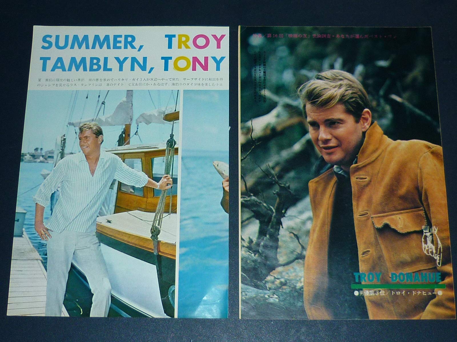 Amazon.co.jp: トロイ・ドナヒュー 1960年代雑誌切り抜き 51枚セット