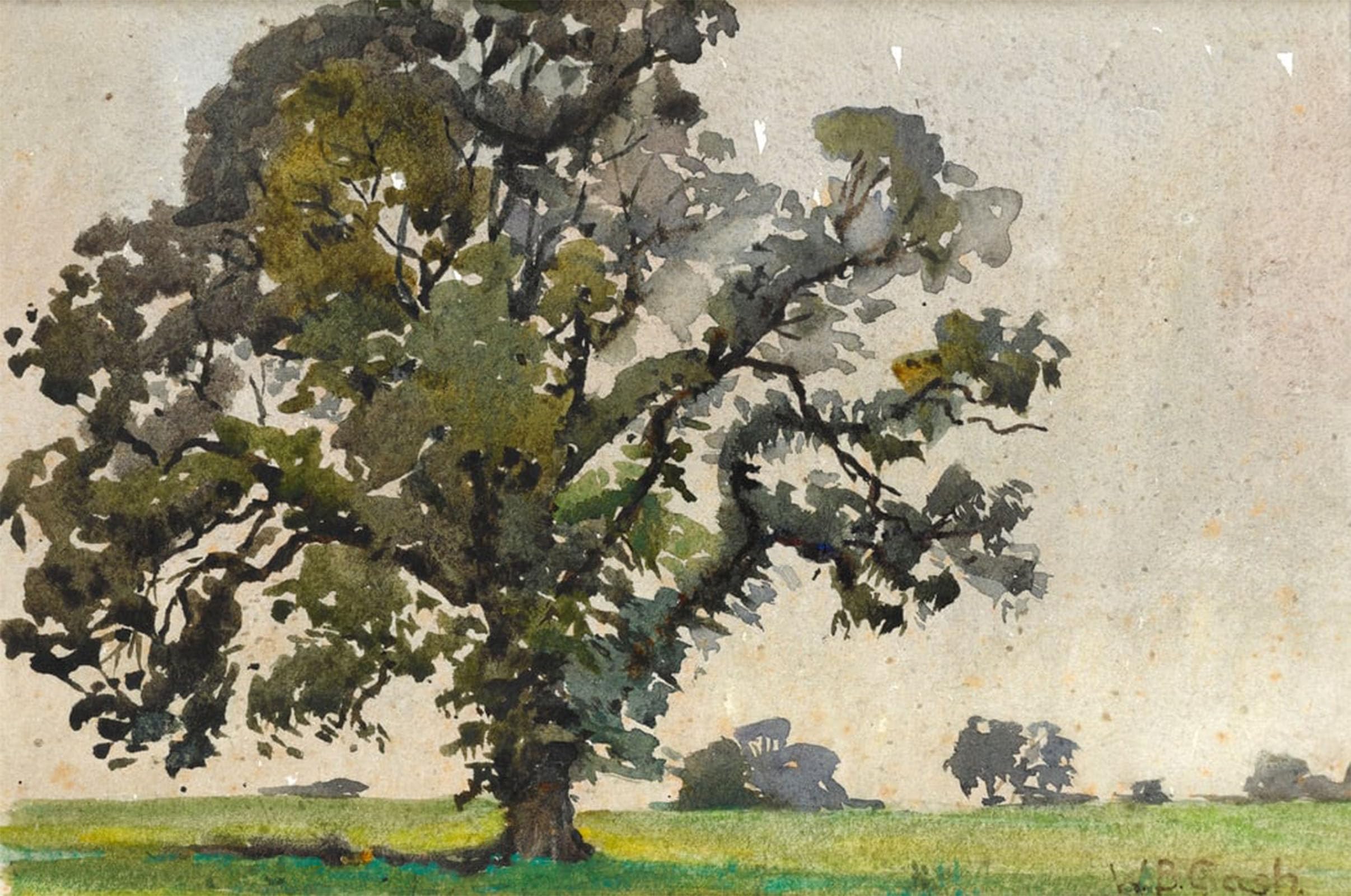 SERENDIPITP Vintage Wall Art Canvas Nordic Poster Canvas Print Picture an Oak Tree on the Edge of a Field by Walter Bonner Gash Wall Art Poster for Home Decor 60x90cm