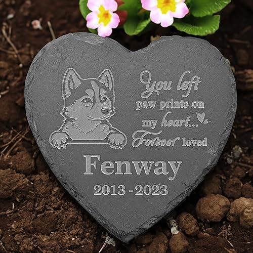 Vista 5 de Estatua de bulldog continental, piedra conmemorativa del bulldog continental, placa conmemorativa del bulldog continental, recuerdo personalizado