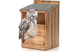 Owl House Wooden Building Kit for Adults Prebuilt