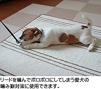 Vista 7 de Grannick's Manzana amarga