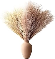 Vista 66 de Decoración de hierba de las pampas, 6 tallos de 18 pulgadas de hierba pomposa, arreglo floral pequeño y relleno de jarrón para decoración bohemia