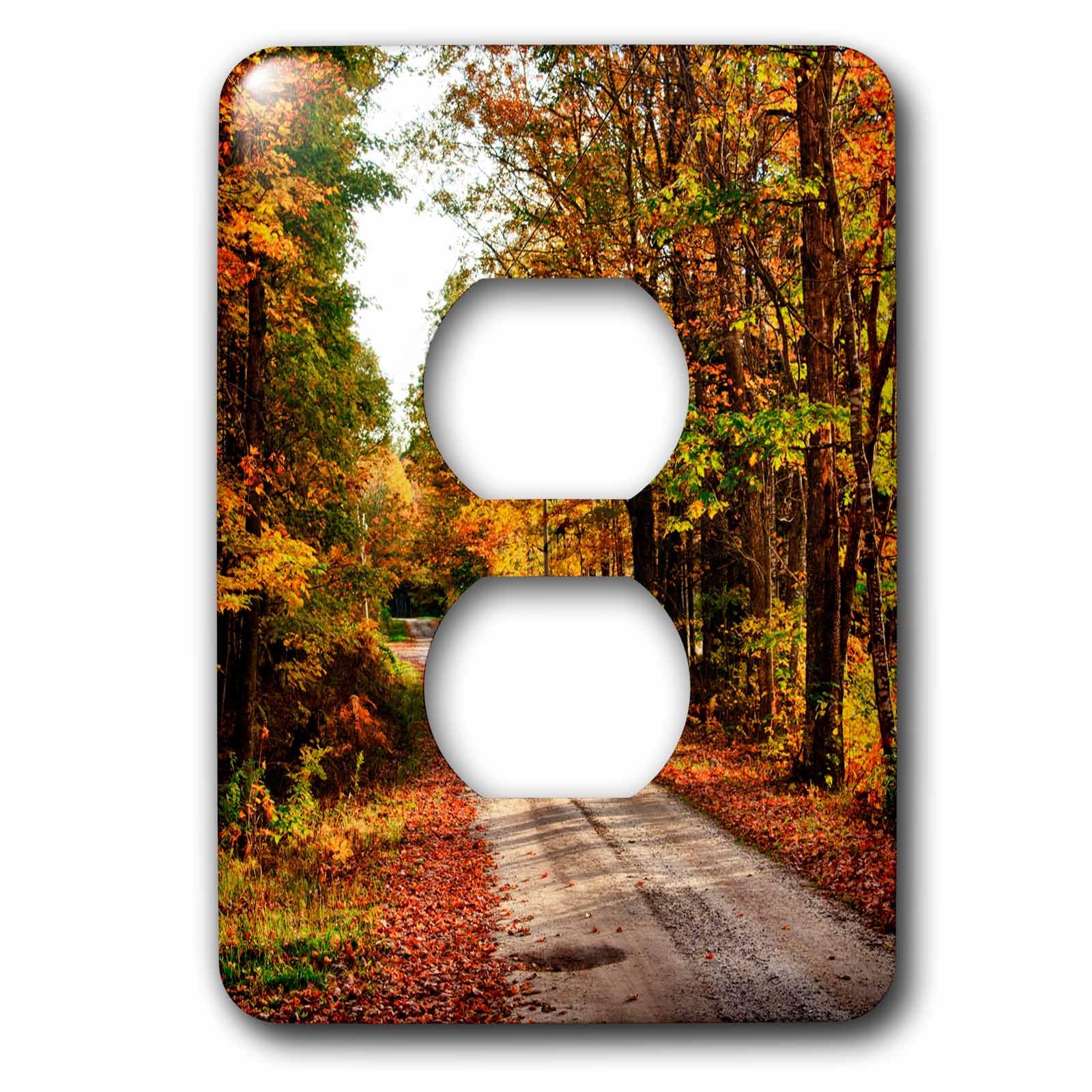 Tapa de enchufe doble con estampado otoñal Bethel Wood Trail de Maine