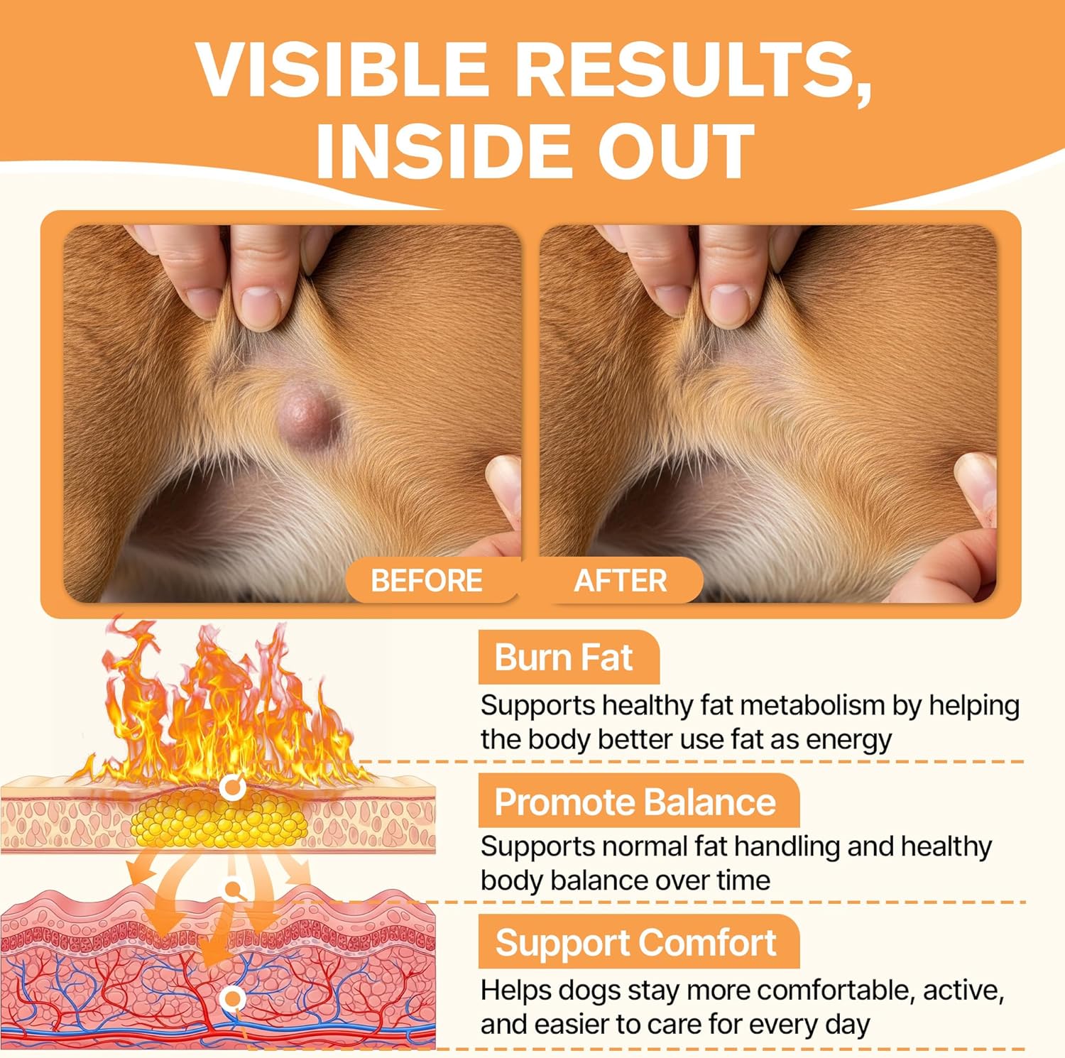 Lipoma Treatment for Dogs, Guard for Dogs Lumps and Bumps, Helps Shrink Fatty Tumors Naturally, Reduces Lipomas inDogs with L-Carnitine & Antioxidants, Supports Fat Metabolism, Vitality, Longevity